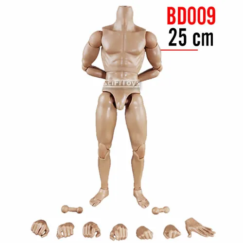 1:6 Standard Male Narrow Shoulder Body for Custom Figure