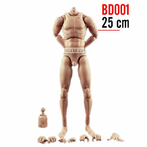 1:6 Standard Male Narrow Shoulder Body for Custom Figure