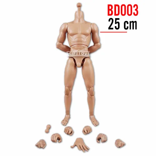 1:6 Standard Male Narrow Shoulder Body for Custom Figure