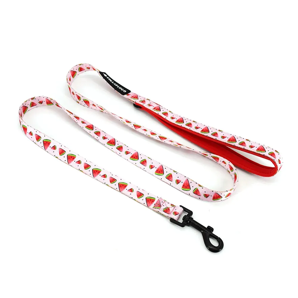 Adjustable Dog Collar Set – Durable Watermelon Design with Leash, Neoprene Harness & Poop Bag Dispenser