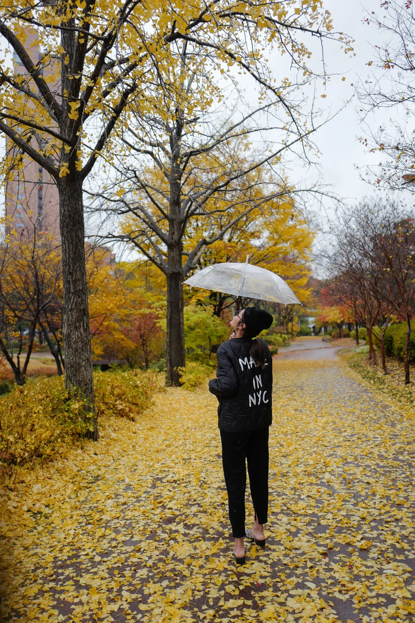 Black NYC Quilted Shell Jacket *MUST BUY*