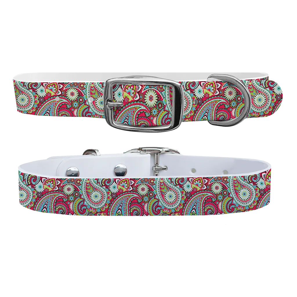 C4 Dog Collar (Magenta Paisley)