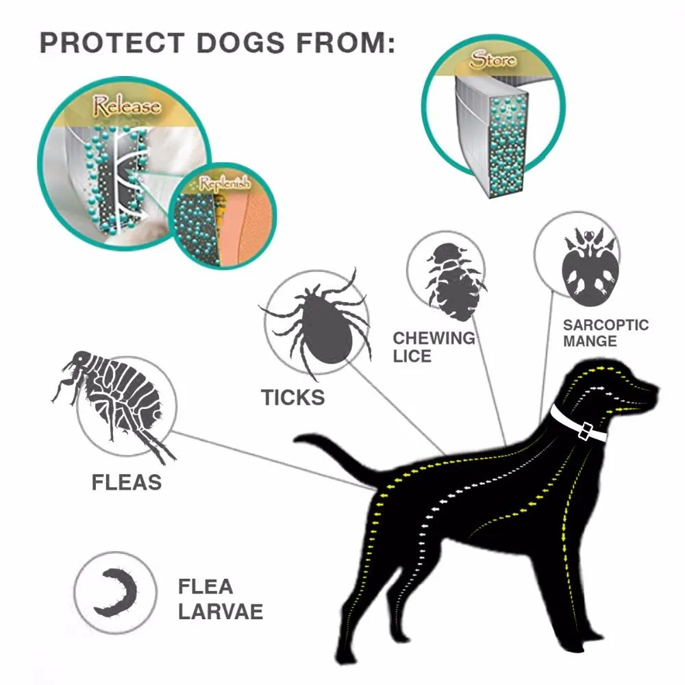 DEWEL Proguard   Flea and Tick Collar