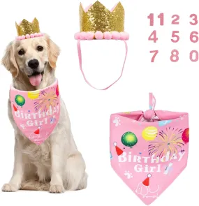 Dog Bandana Hat Set for Birthday Party Supply, Boy Girl Pet Birthday Scarf for Medium Large Dog (Large, Pink)