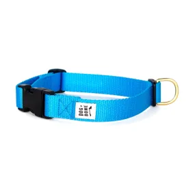 Dog Bone Adjustable Snap Collar Blue