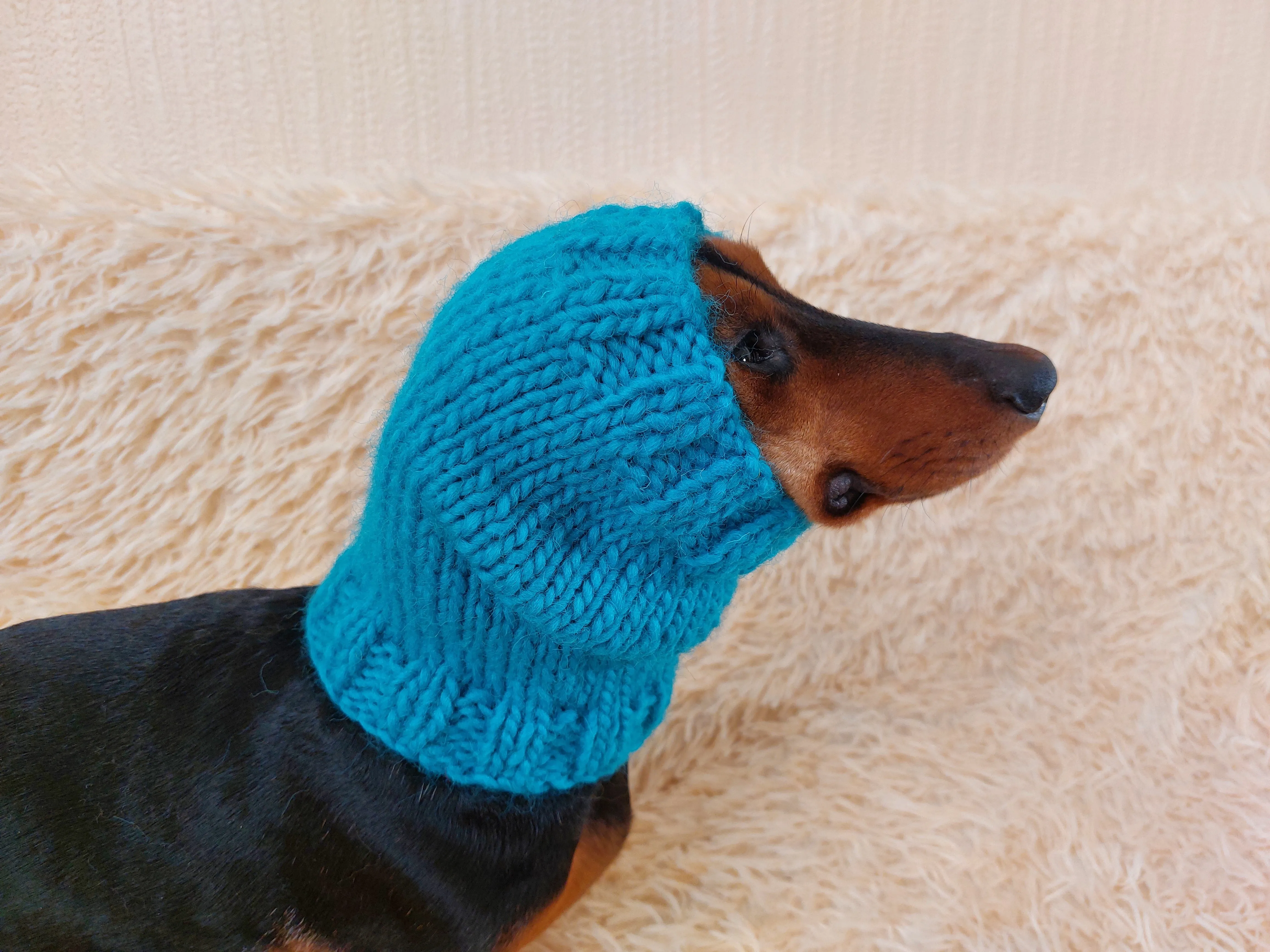 Handmade Wool Snood Warm Winter Knitted Dog Hat Warm Ears Dachshund Snood Hat