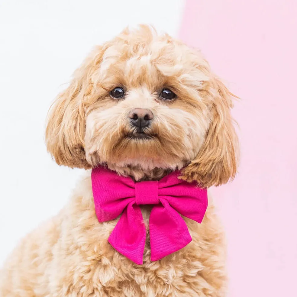 Hot Pink Lady Bow Collar