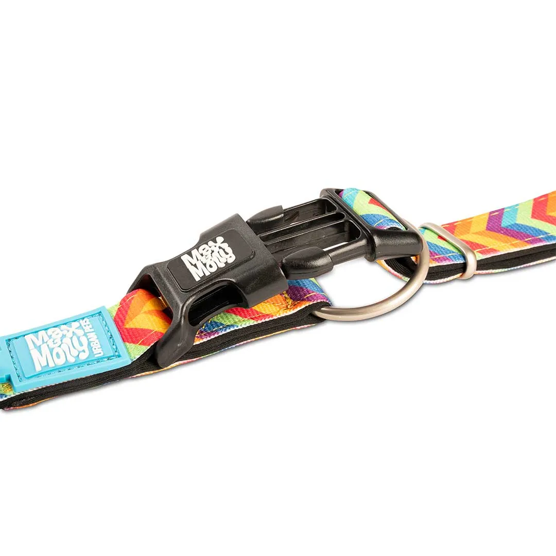 Max & Molly Summertime Smart ID Dog Collar