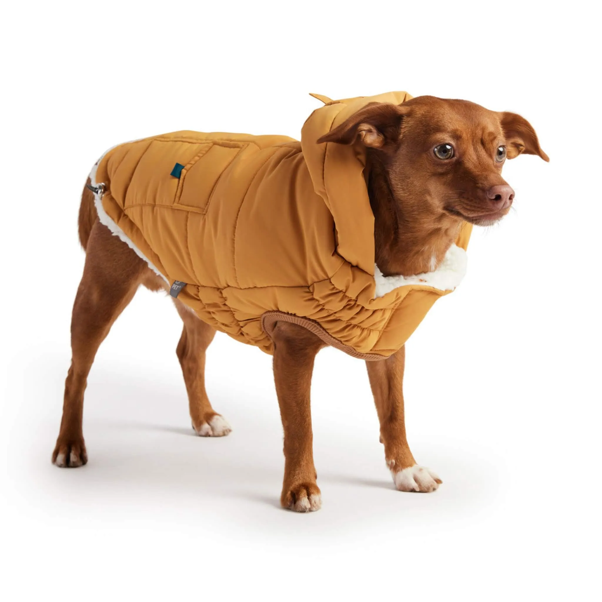 Puff Dog Parka - Yellow