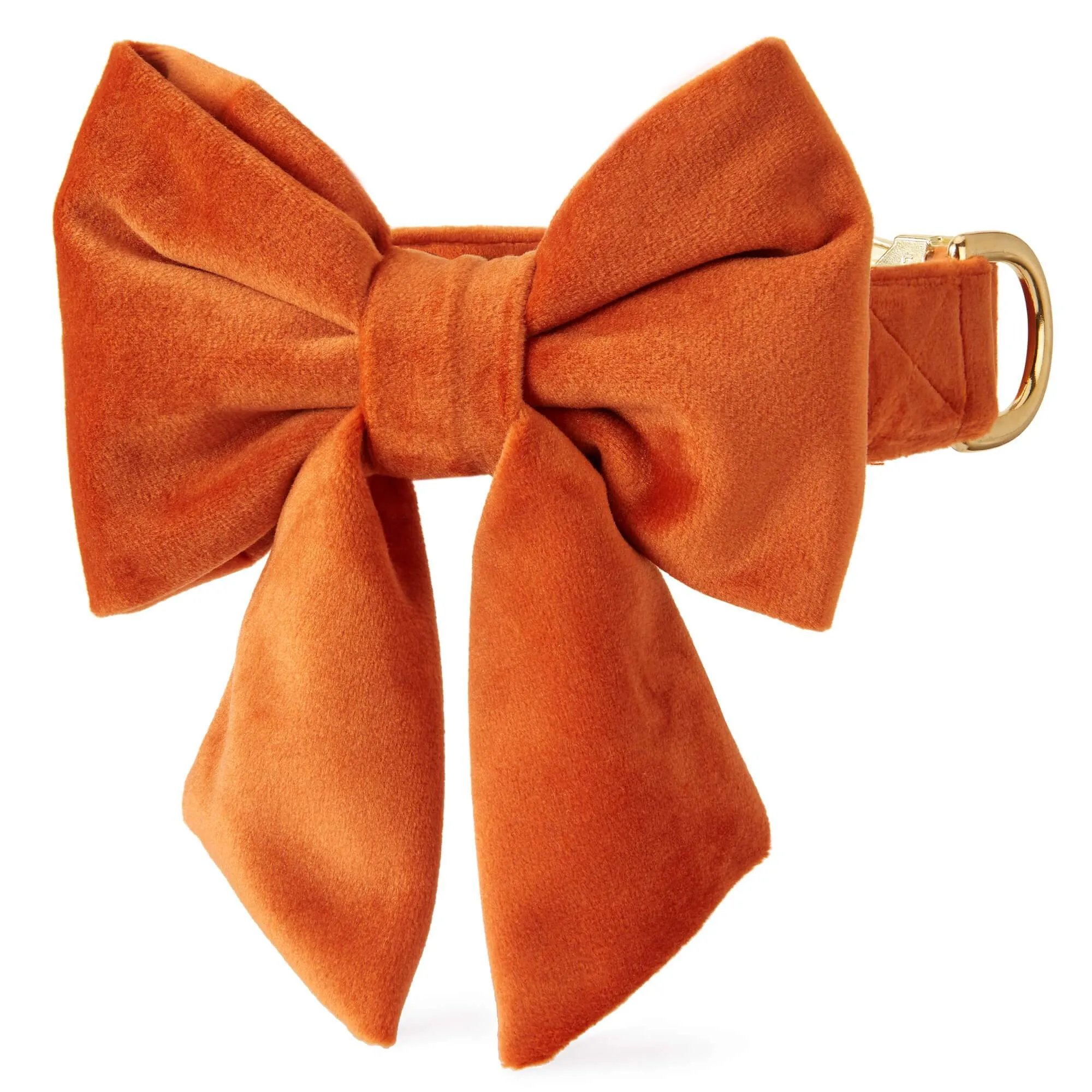 Pumpkin Velvet Lady Bow Collar